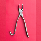 Wolf Tooth Forceps 9.5"