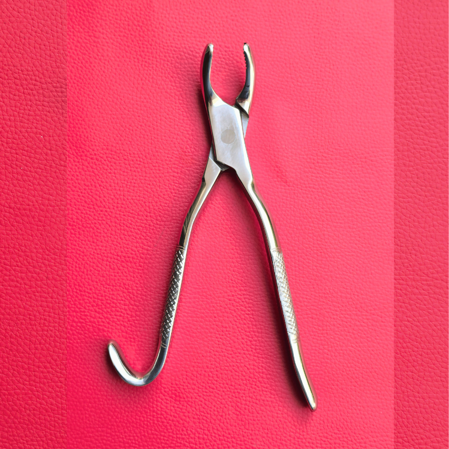 Wolf Tooth Forceps 9.5"