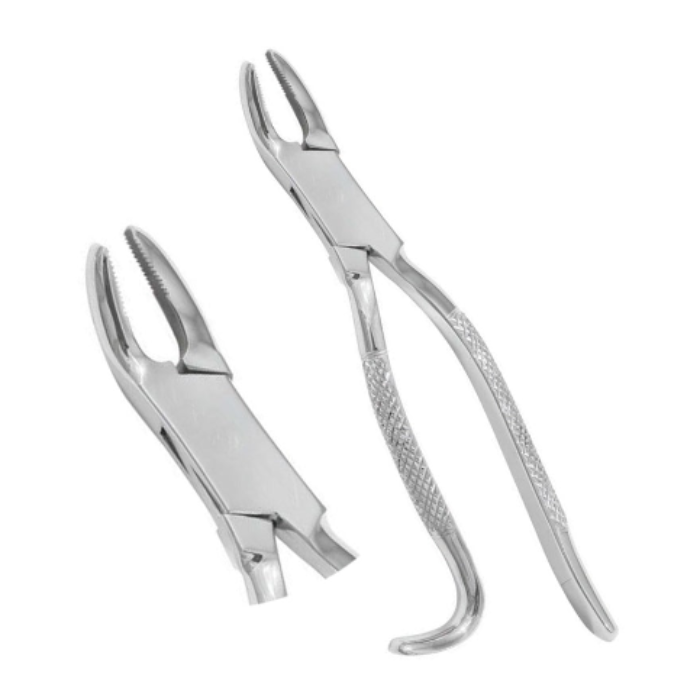 Wolf Tooth Forceps 9.5" Essential Tool for Equine Dental Procedures Main image
