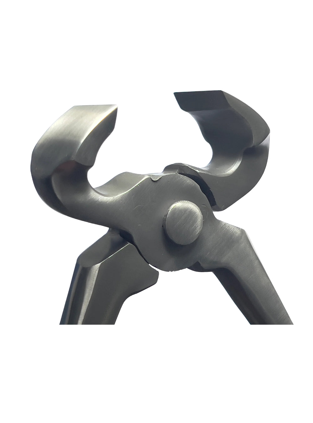 Farrier Tool Kit Complete SS