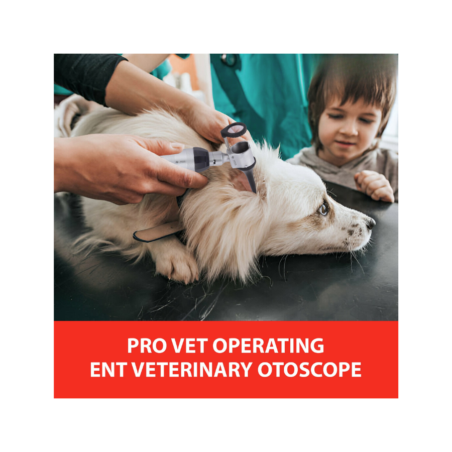 Veterinary Procedure Otoscope Set | LED Diagnostic Instrument