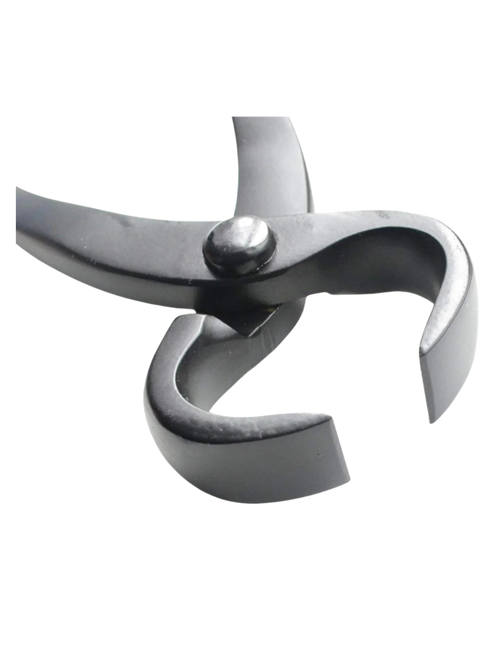 Farrier Tool Kit Complete SS - Black Finish