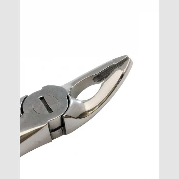 Curved Small Forceps 7″ Secondary image