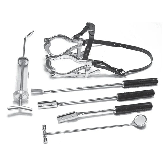 Curved Cradle Equine Dental Head Stand professional Main image