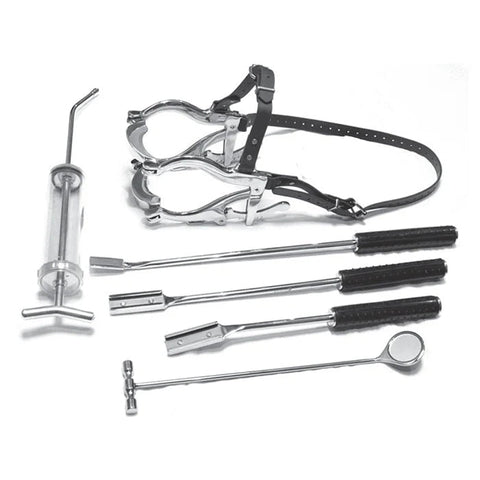 Curved Cradle Equine Dental Head Stand professional