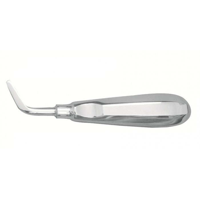 Effective Equine Flat Head Elevator for Dental Extraction Procedures Main image