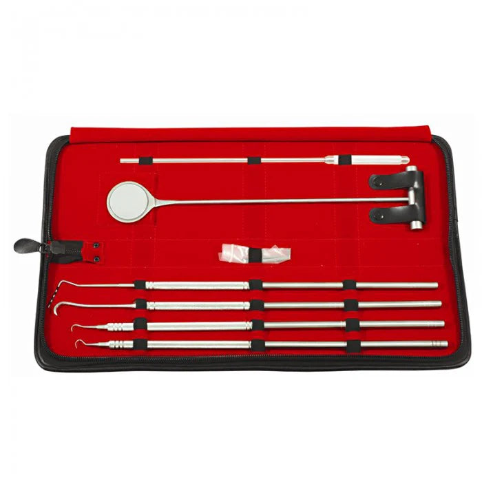 Comprehensive Equine Periodontal Instrument Set for Professional Oral Care Main image