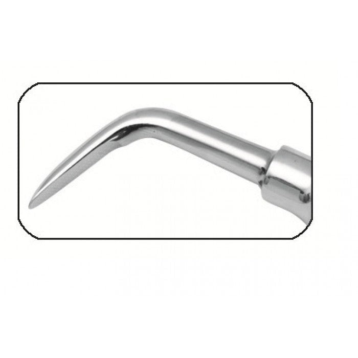 Precision Equine Round Head Elevator for Effective Dental Procedures Main image