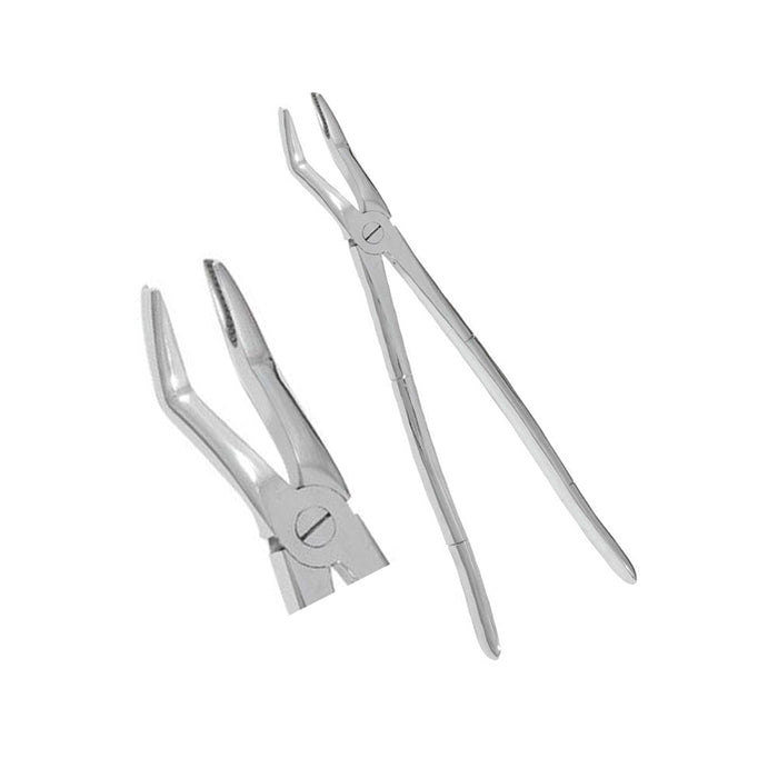 Wolf Teeth Forceps Large Essential Tool for Equine Dental Procedures Main image