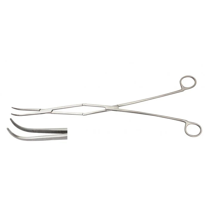 Effective Equine Dentistry Periodontal Forceps for Professional Oral Care Main image