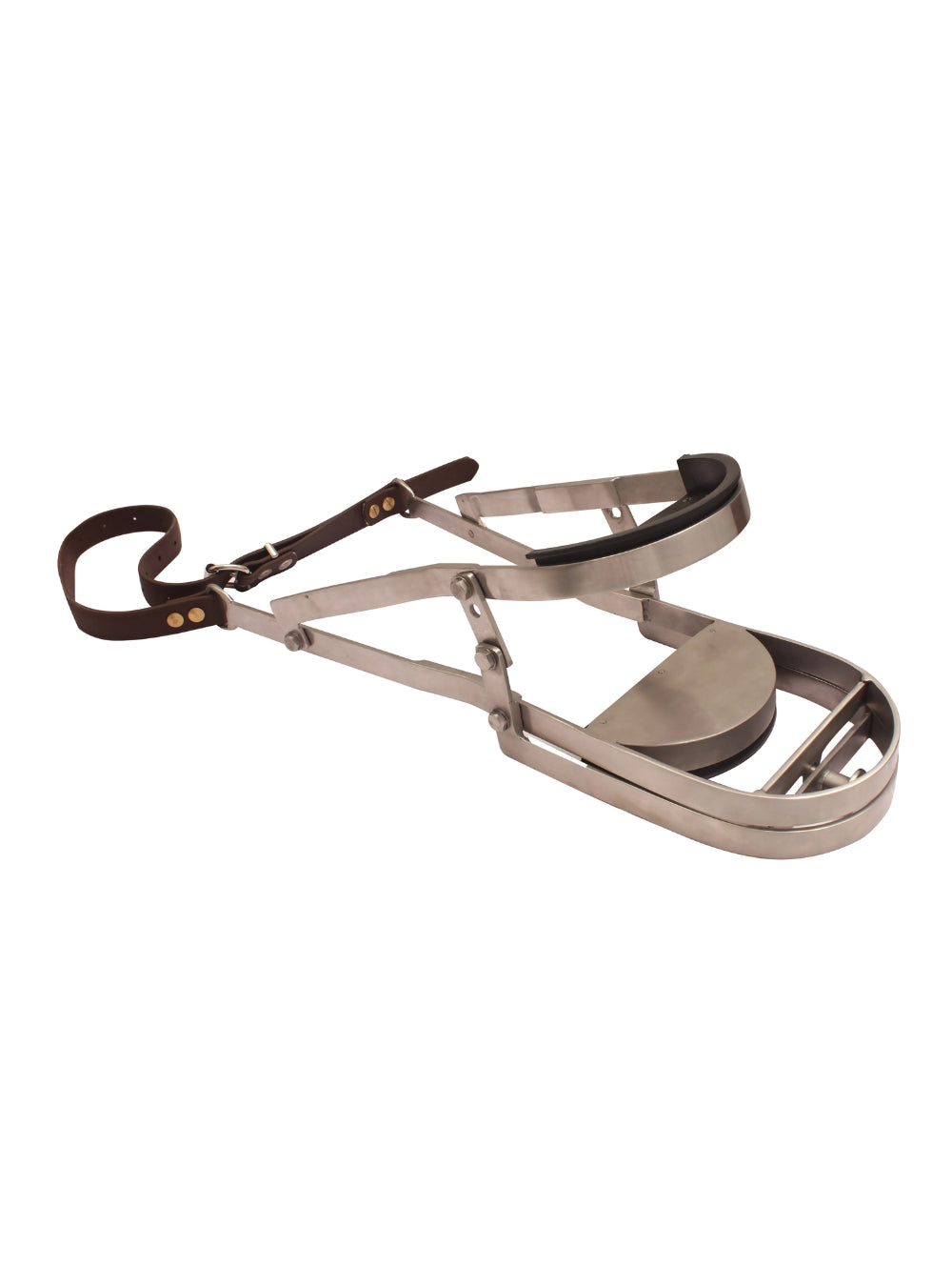 Camel Dental Speculum Set Main image