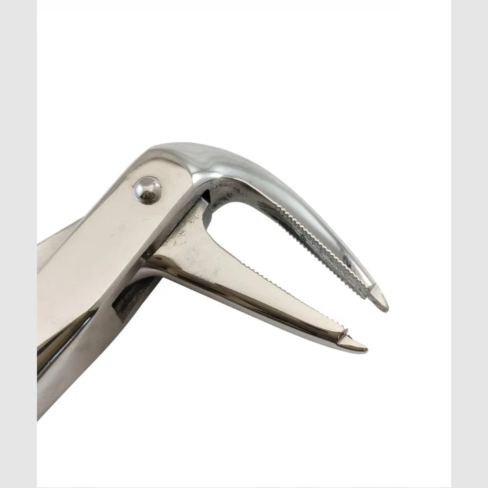 Turned Head Beak Extraction Forceps 6″ Secondary image